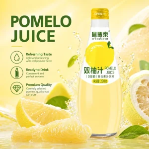 Refreshing Taste Fruit Juice for Retail