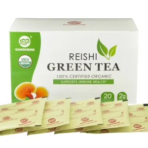 Reishi Mushroom Green Tea with Ganoderma Lucidum and Cordyceps Extract Premium Herbal Blend OEM Bulk Supply