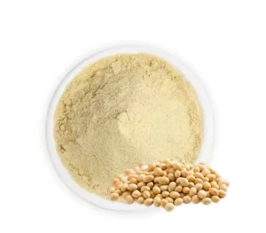 Soy Milk Powder Food Grade High Quality Instant Soybean Milk Powder 25kg Soybean Extract Powder Factory Price