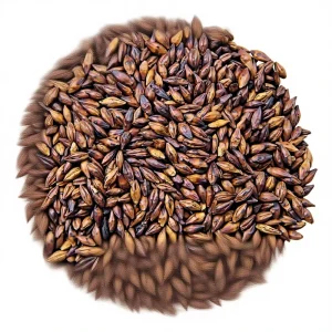 Stir Tea Fried Barley Herbal Loose Natural Organic Pure Premium Professional Wellness Healthy Top Grade Supplier