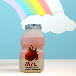 Strawberry Burst Rich Creamy Fruit Packed Ideal Fermented Milk for Breakfast & Snacks