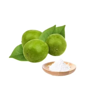 Supplier Price Chinese Natural Sweet 100% Monk Fruit Momordica Grosvenori