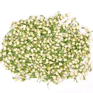 TONGJIN Factory Price Premium Dried Herb Tea Jasmine for Making Flower Tea