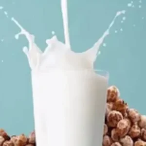 Tigernuts Protein Milk Production Line