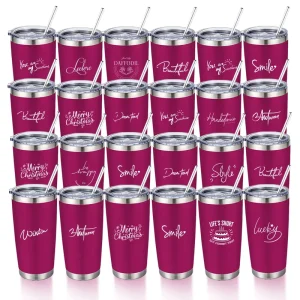 USA Warehouse 20oz Double Wall Coffee Mug Stainless Steel Tumbler Cups with Lid and Straw