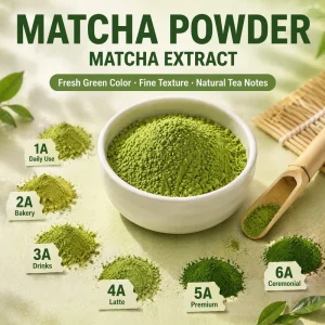 USDA Organic Certified Free Sample Ceremonial Grade Matcha Powder for Tea Drinks Support Customization