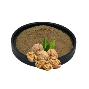 Walnut Extract Walnut Concentrated Powder Walnut Oligopeptide Powder Spray Drying Method for Plant Peptides