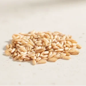 Whole Oat Grains Natural Oat Groats High Nutrition Gluten Free Non GMO Human Consumption 12 Month Shelf Life Jilin
