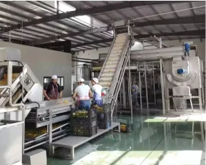 Wooden Case Fruit Juice and Vegetable Juice Production Line